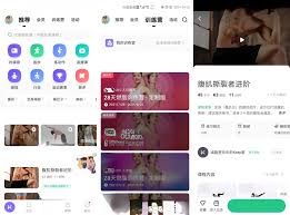运动助手网页版