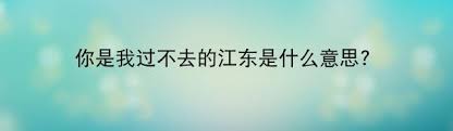 mjlj是什么意思？深度剖析其含义与用途