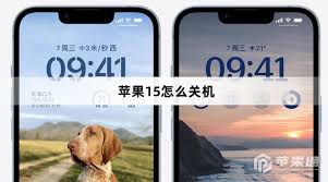 惊爆！苹果 15 关机教程大，超简单几步轻松搞定，你绝对不能错过！