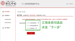 信息查询官网登录入口