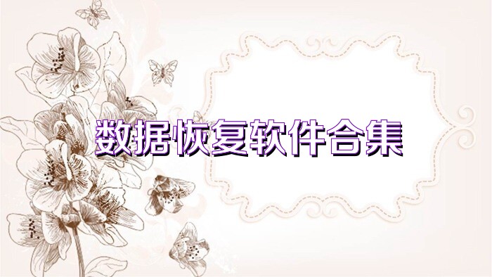数据恢复软件合集