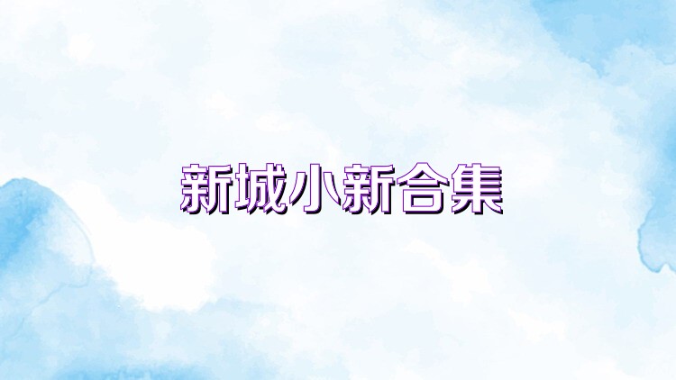 新城小新合集