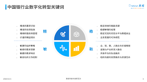 数银在线：其波澜壮阔、成就斐然的辉煌发展历程，速来一探究竟！