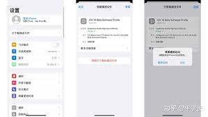 iOS10改编描述文件在哪