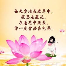 探秘莲花心：究竟是怎样的心独具此名？