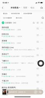 苹果手机 QQ 音乐下载歌曲存放位置全解析