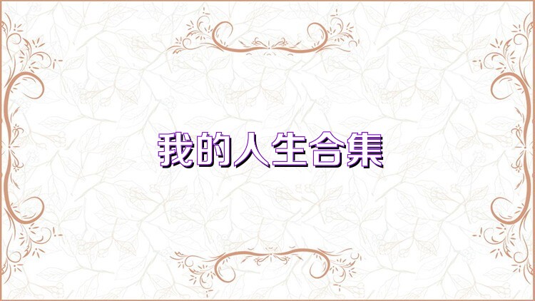 我的人生合集