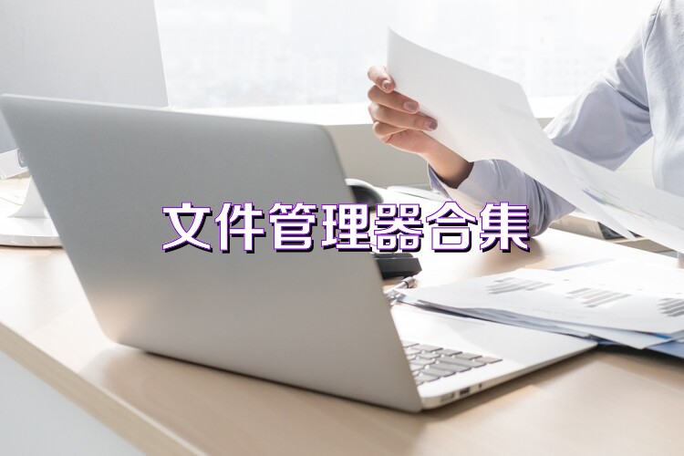 文件管理器合集