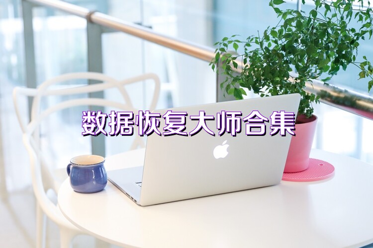 数据恢复大师合集