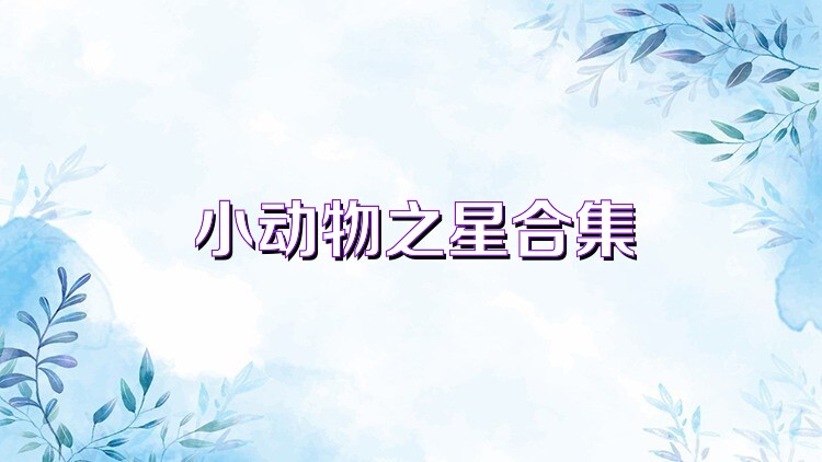 小动物之星合集