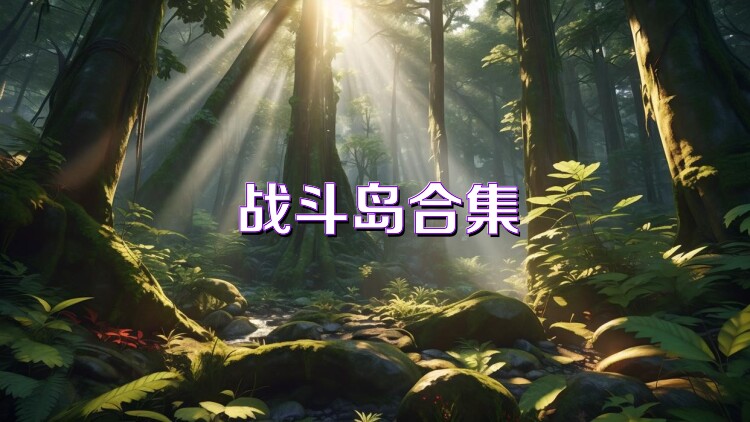 战斗岛合集