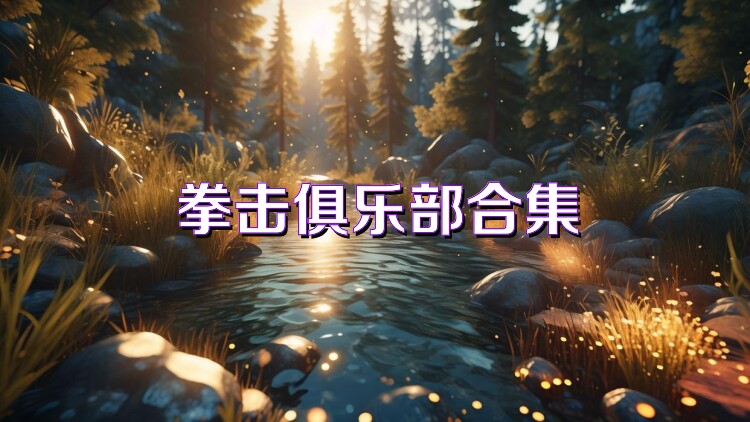 拳击俱乐部合集