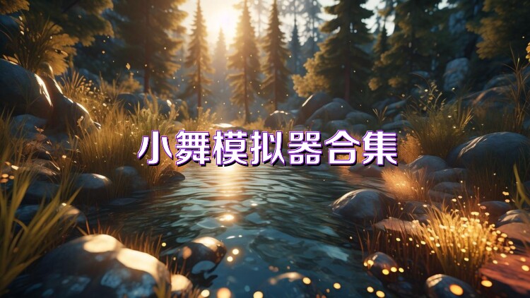 小舞模拟器合集