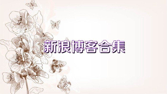 新浪博客合集