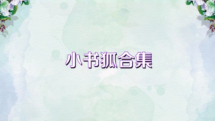 小书狐合集