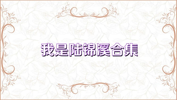 我是陆锦溪合集