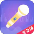 语聊音频变声器（变声工具）